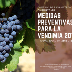 vendimia 2019